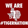 We-Are-TigerNation2.jpg