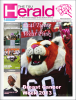 2013-10-21 07_46_04-ISSUU - Vol. 66 No. 4 by THE TSU HERALD.png