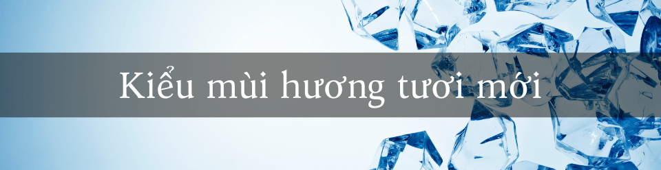 kieu-mui-huong-tuoi-moi.png