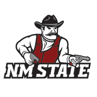 NM-State.png